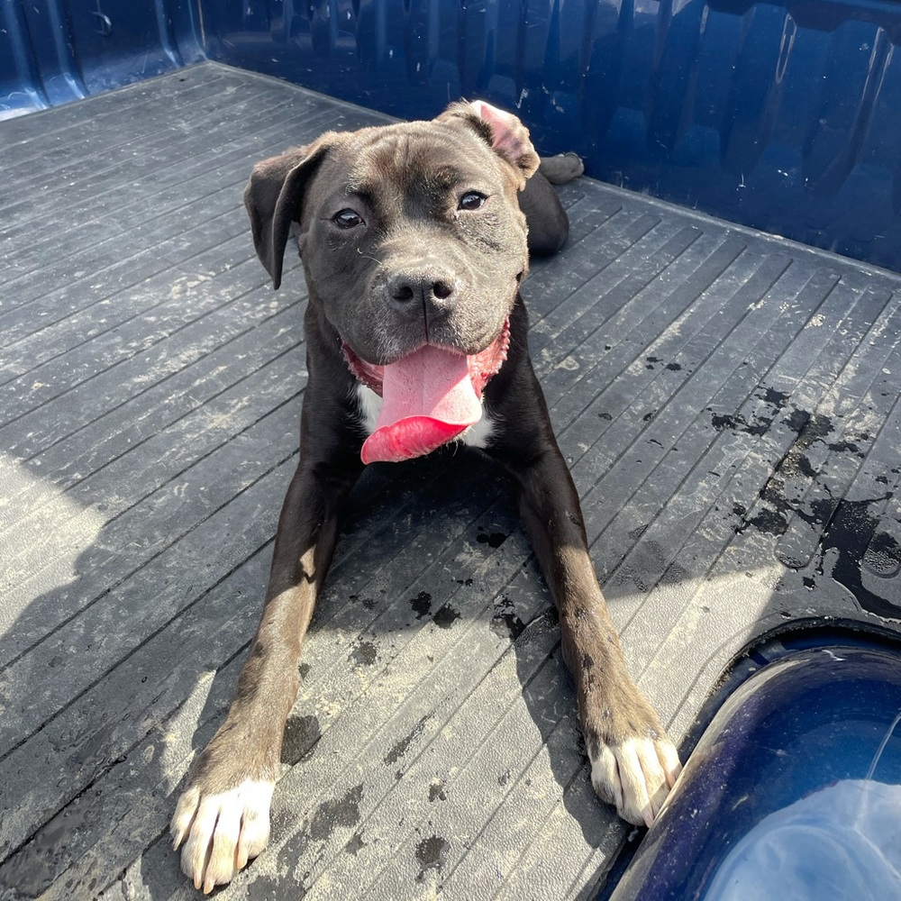 Meet your Posher, Brittany